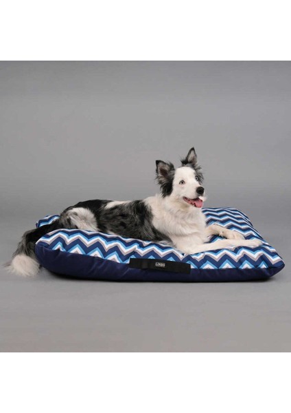 Luxury Blue Wave Köpek Yatağı 1 Adet