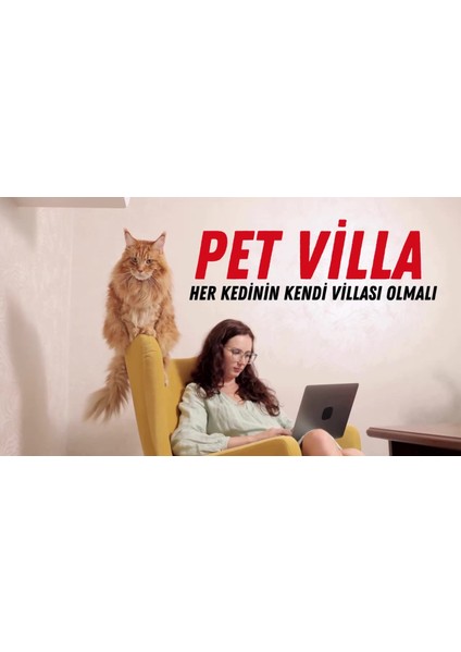 Luxury Kedi Evi Kedi Villası Kedi Kulübesi Kedi Evleri Antrasit Petvılla 1 Adet fiyatları