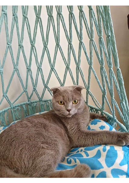 Luxury El Yapımı Duvar Makrome Kedi Hamağı,kedi Yatağı,askılı Kedı Yatağı,minderli Kedi Hamağı 1 Adet