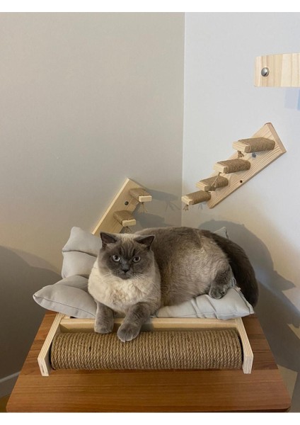 Luxury Büyük Boy Kedi Yatağı ve Tırmalama Çubuğu Hazır Kurulu 1 Adet