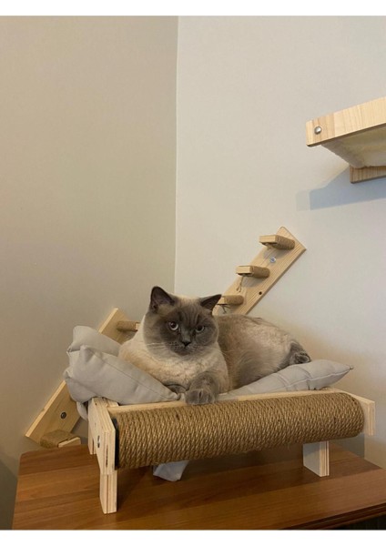 Luxury Büyük Boy Kedi Yatağı ve Tırmalama Çubuğu Hazır Kurulu 1 Adet