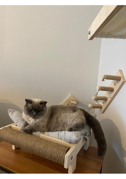 Luxury Büyük Boy Kedi Yatağı ve Tırmalama Çubuğu Hazır Kurulu 1 Adet