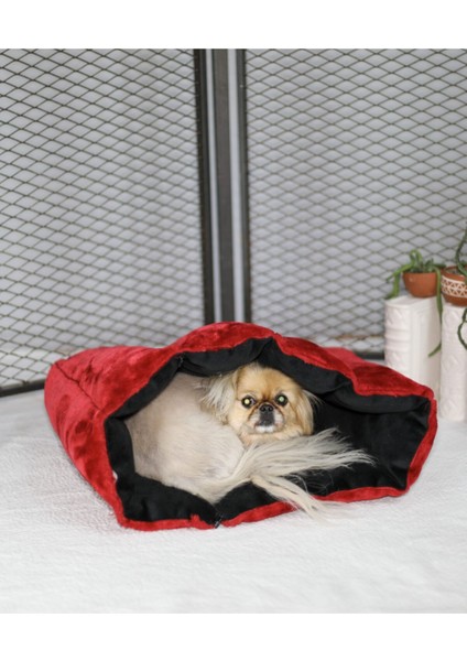 Luxury Şezlong Kedi Köpek Yatağı 1 Adet