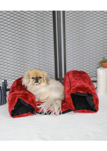 Luxury Şezlong Kedi Köpek Yatağı 1 Adet