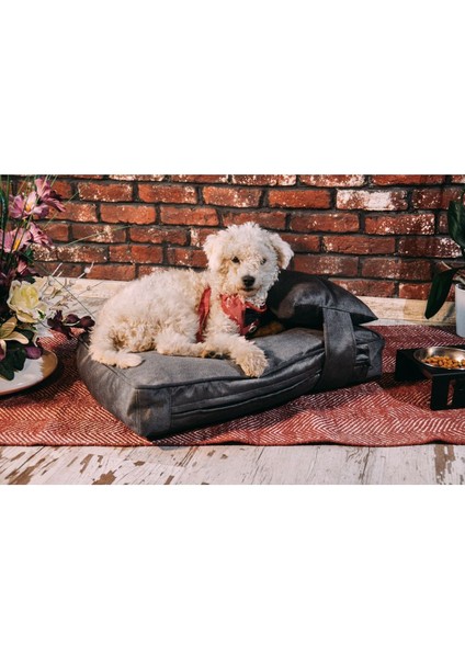 Luxury Pawtrail Yastıklı Kedi Köpek Yatağı 1 Adet