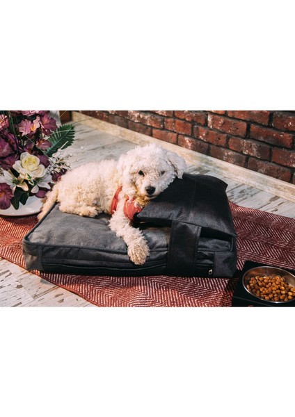 Luxury Pawtrail Yastıklı Kedi Köpek Yatağı 1 Adet