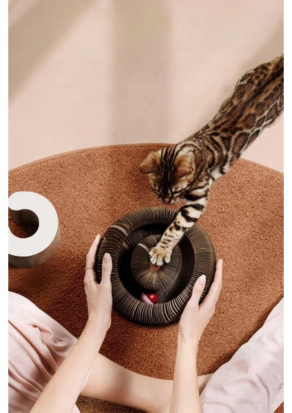 Luxury Kedi Tırmalama Oyuncağı, Sihirli Kedi Oyuncağı, Çıngıraklı Tırmalama Panosu, Kedi Oyuncağı 1 Adet modelleri