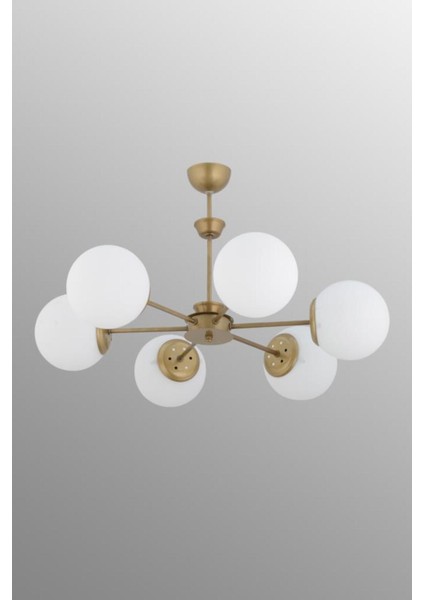 UltraNova fiyatları