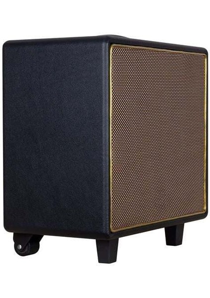GT-10 El Mikrofonlu Seyyar Taşınabilir Hoparlör