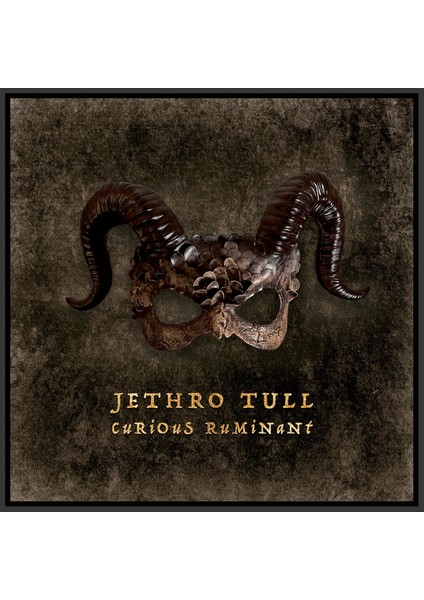 Jethro Tull - Curious Ruminant - Plak