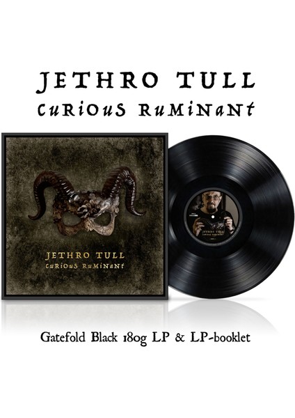 Jethro Tull - Curious Ruminant - Plak