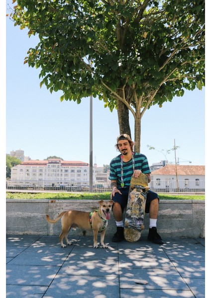 Luxury Lords Of Zee.town Manifesto Göğüs Tasması Tasması - Zee.dog 1 Adet modelleri