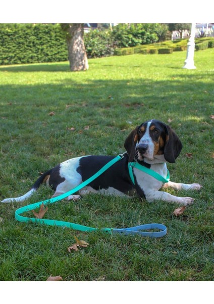 Luxury Su Geçirmez Biothane Köpek Göğüs Tasması 1 Adet