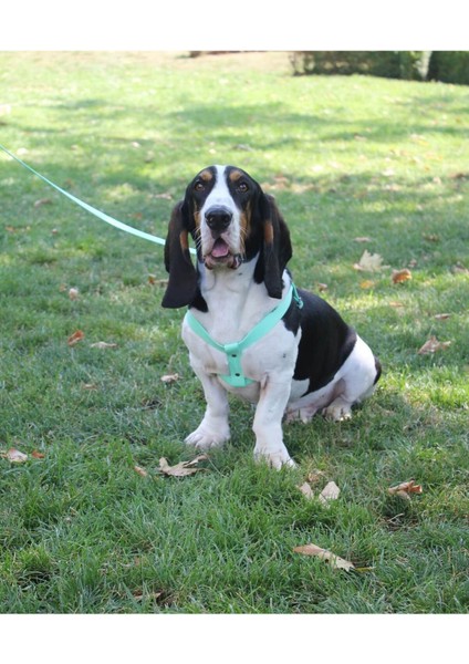 Luxury Su Geçirmez Biothane Köpek Göğüs Tasması 1 Adet