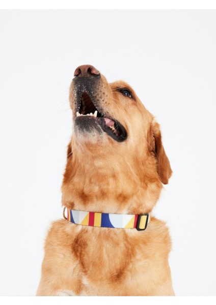 Luxury Geometric Köpek Boyun Tasması Large 1 Adet
