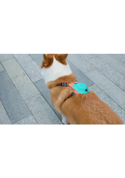 Luxury Köpek Tasması Gövdelik ve Göğüslük Otomatik Toplama Rahat ve Konforlu Yürüyüş Tasma 1 Adet