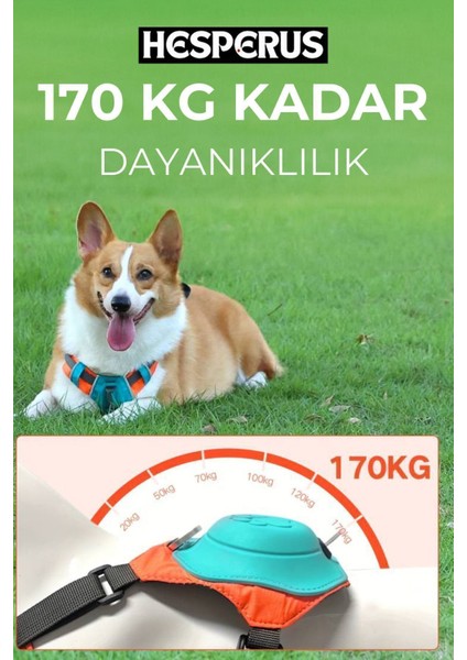 Luxury Köpek Tasması Gövdelik ve Göğüslük Otomatik Toplama Rahat ve Konforlu Yürüyüş Tasma 1 Adet