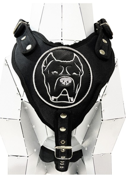 Luxury Siyah Cane Corso Köpek Göğüs Tasması Göğüslük Tasma 1 Adet