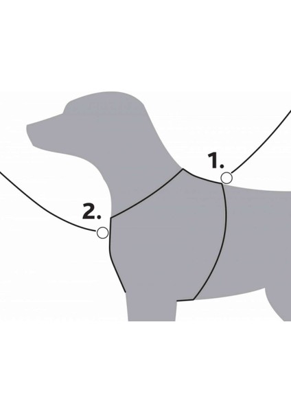 Luxury Köpek Premium Göğüs Tasması Xxs-Xs 30-37CM 10MM Kırmızı 485125 1 Adet fırsatları