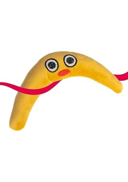 Luxury Cattooy Fun Education Toy Banamoo Çingirakli Kedi Oyuncaği 1 Adet