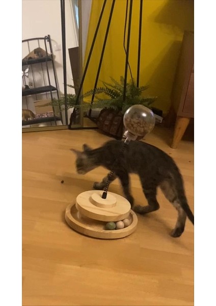 Luxury Interaktif Zeka Geliştirici Kedi Oyuncağı 1 Adet