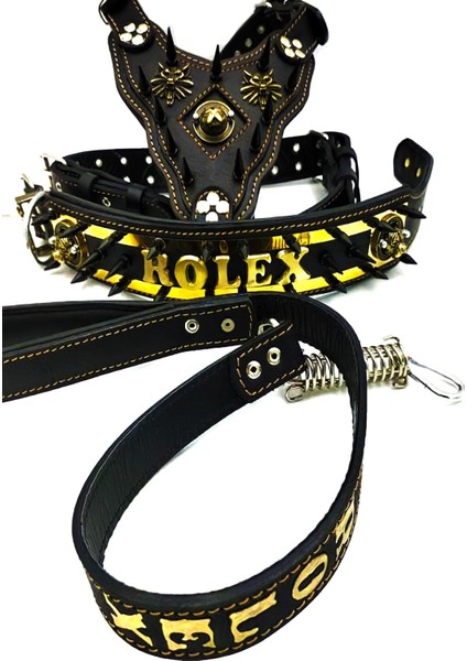 Luxury Siyah-Gold Renk Rolex Baskılı Köpek Boyun Göğüs Gezdirme Set 1 Adet