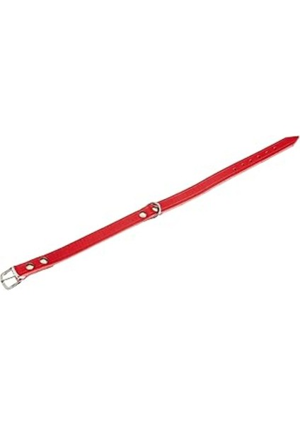 Luxury Karlie Deri Evcil Hayvan Boyun Tasması, 47 Cm-18 Mm, Kırmızı 1 Adet