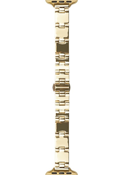 Apple Watch Series 10 9 8 7 Se (2023) Se (2022) Se 3 2 1 42MM 41MM Ayna Kaplama Çinko Alaşım Kayış (Yurt Dışından)