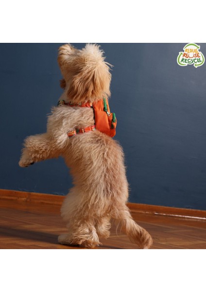 Luxury Concept, Köpek Çantası, Köpek Göğüs Tasması 1 Adet