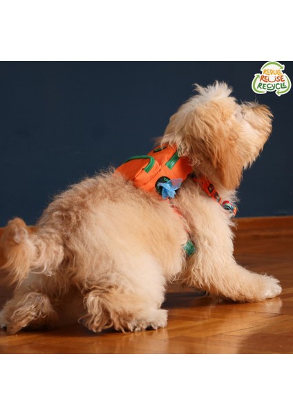 Luxury Concept, Köpek Çantası, Köpek Göğüs Tasması 1 Adet