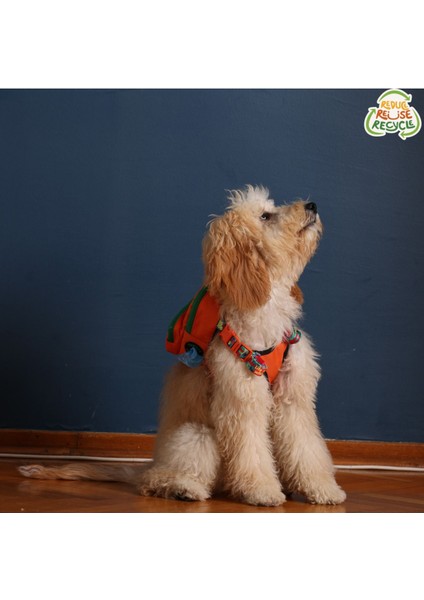 Luxury Concept, Köpek Çantası, Köpek Göğüs Tasması 1 Adet