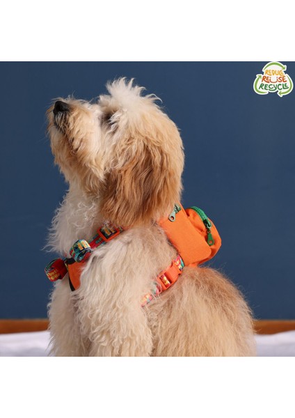 Luxury Concept, Köpek Çantası, Köpek Göğüs Tasması 1 Adet