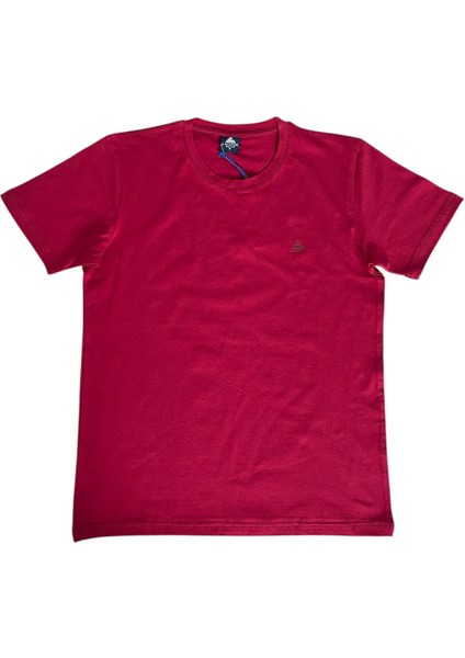 25 - 4350 SÜPER BATTAL BÜYÜK BEDEN UNİSEX BİSİKLET YAKA T-SHIRT