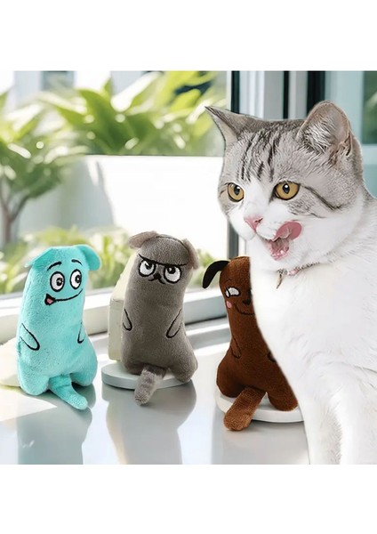7'li Set : Kedi Nanesi Kokulu Peluş Oyuncak , Sarma Top , Olta , 3'lü Mini Top , Çıngıraklı Top 1 Adet indirimleri