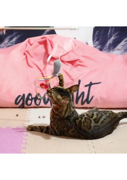 Tüylü ve Zilli Kedi Oyun Oltası 1 Adet fiyatları