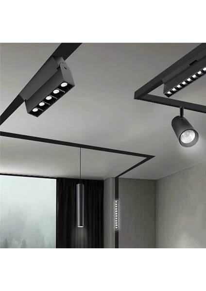 CT-5395 Kama LED Siyah Kasa Ray Spot Sistemi 30W Armatür Gün Işığı Beyaz Aydınlatma Işık Lamba modelleri