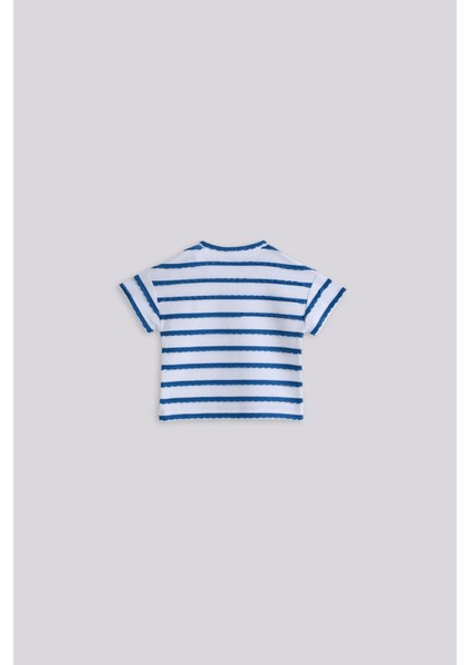 Bg Store Kız Bebek Çizgili Tshirt fiyatları