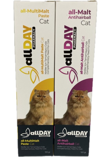 Allday Ikili Set Kedi Tüy Önleyici Malt ve Multivitamin 100GR