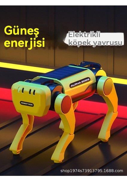 Güneşte Yürüyebilir (Yurt Dışından)