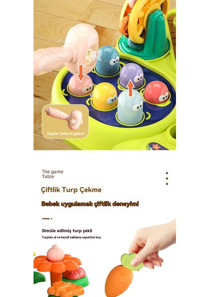 Çok Fonksiyonlu Çiftlik Parkı Oyun Masası Bebek Aydınlanma Oyuncak (Yurt Dışından)
