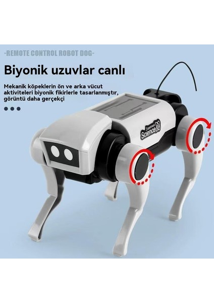 Uzaktan Kumanda Montaj Mekanik Köpek Dıy Yürüyen Oyuncak Köpek (Yurt Dışından)