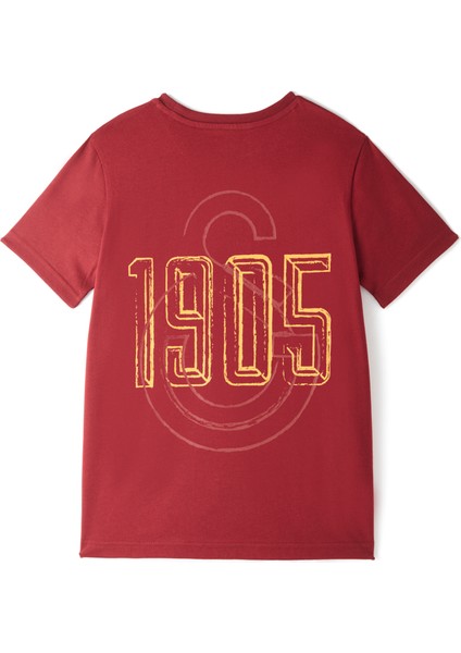 Galatasaray Kadın T-Shirt K251059