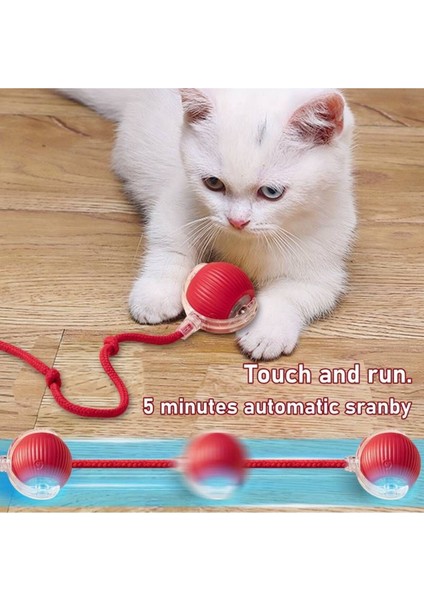 - Kuyruklu Şarj Edilebilir Kedi Topu 1 Adet