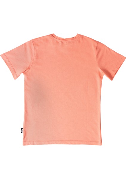 Erkek Çocuk Tshirt NFR-B500354 modelleri