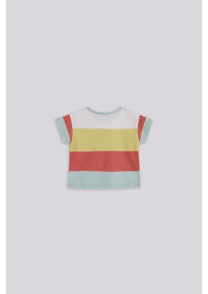 Bg Store Erkek Bebek Desenli Tshirt fiyatları