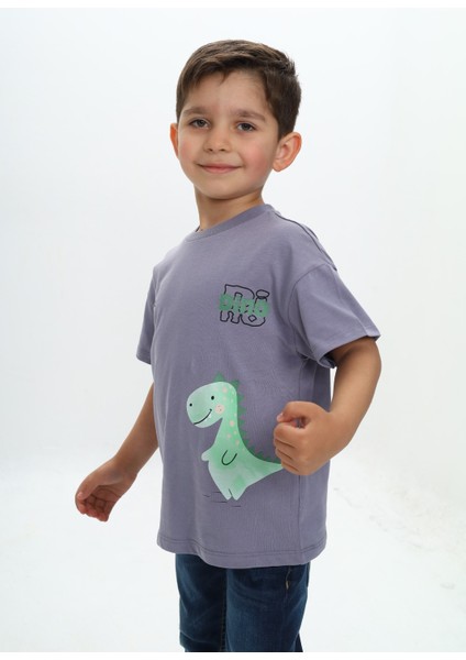 Erkek Çocuk Dinazor Yazı Baskılı Tişört fiyatları