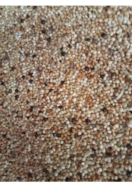Muhabbet Açık Kuş Yemi 1 kg