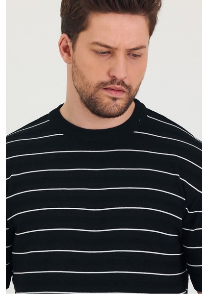 Erkek Bisiklet Yaka Çizgi Detaylı Kısa Kollu Ince Triko T-Shirt