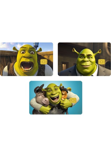 Shrek Muhteşem Dostlar 3'lü Kaplama Stickerı (Yüksek Kalite)