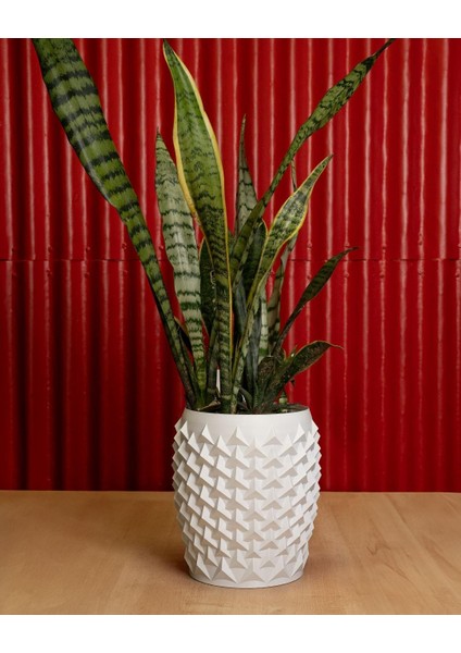 Piramid Form Saksı indirimleri